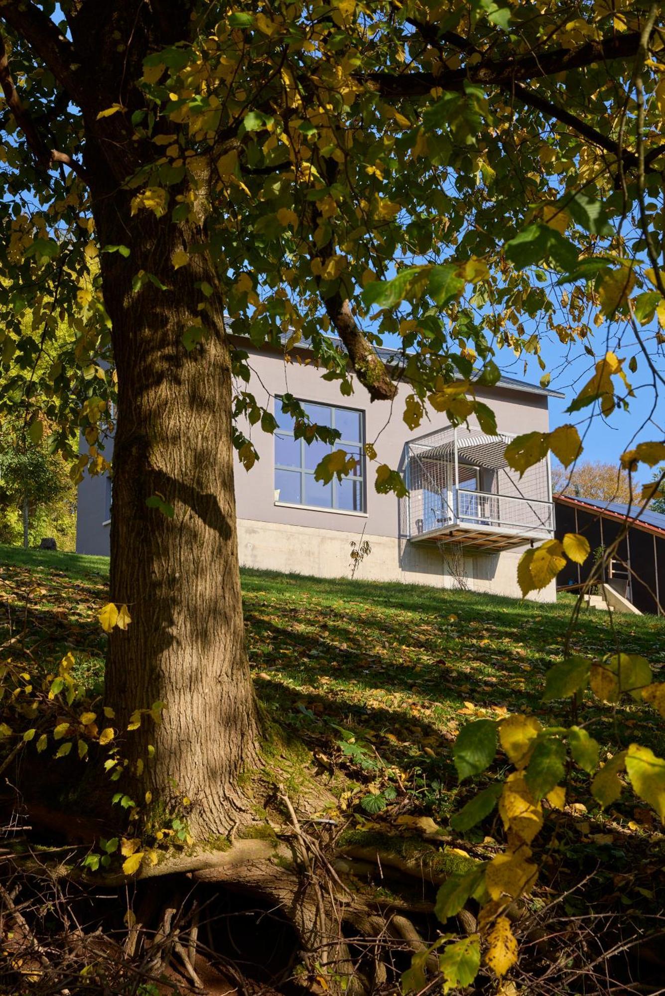 Ferienhaus "Klotz Am Berg" Villa Freiensteinau Buitenkant foto